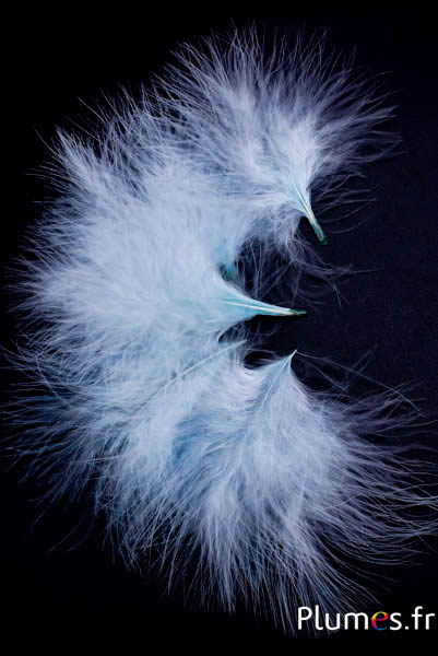 Tacchino marabù-piumino - 4-7 cm -  verde mare